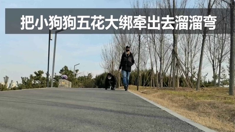 郑州绳艺原创新作之把小狗狗五花大梆牵出去溜溜弯！可以在线看！